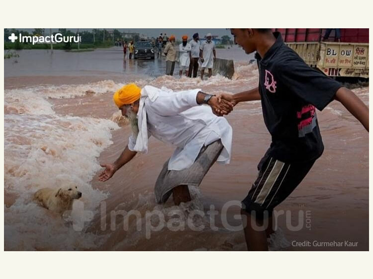Punjab Flood Relief 