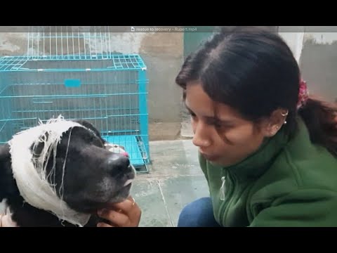 Impact Guru Fundraiser