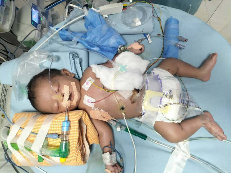 Baby Of Sukeertha 