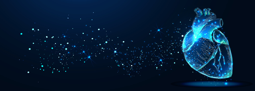 Banner 1