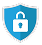 Secure icon