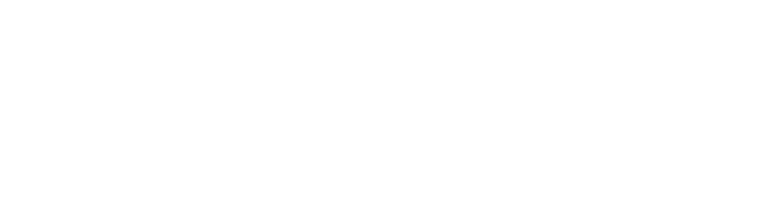 logo w-50