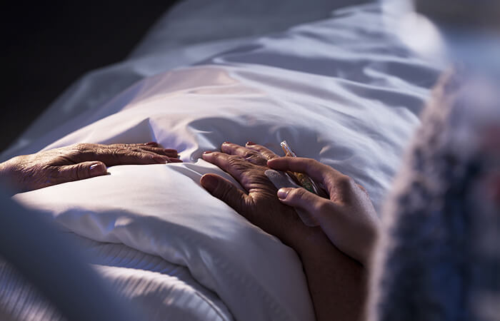 Banner-web